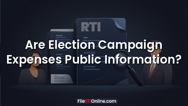 Are Election Campaign Expenses Public Information?