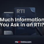 How Much Information Can You Ask in an RTI?