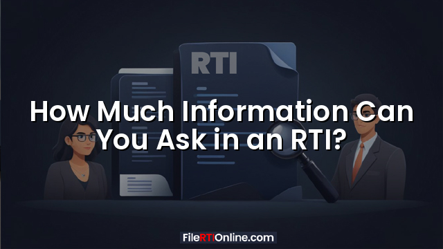 How Much Information Can You Ask in an RTI?