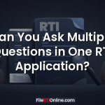 Can You Ask Multiple Questions in One RTI Application?