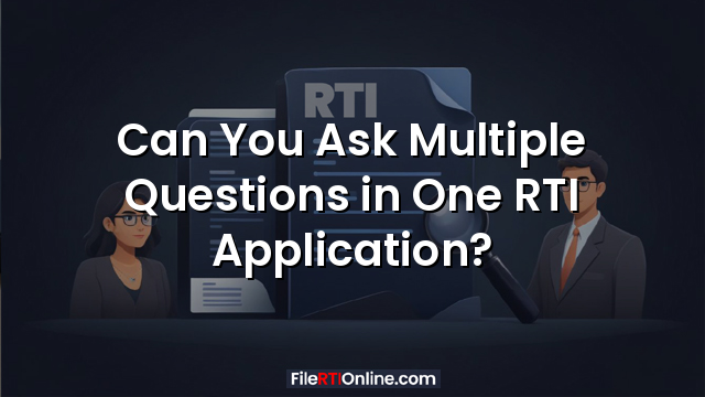 Can You Ask Multiple Questions in One RTI Application?
