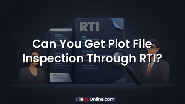 Can You Get Plot File Inspection Through RTI?